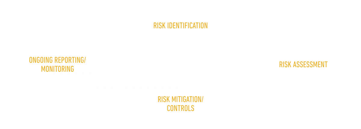 Risk Management | Make More by Risking Less | Blacklion Holdings